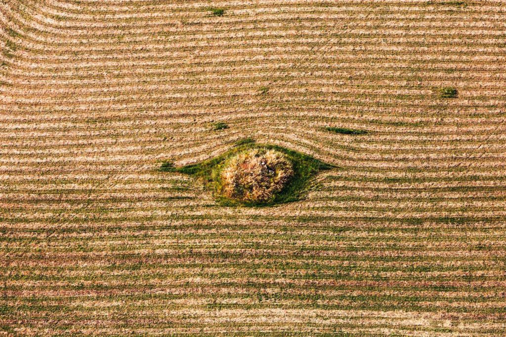 foto aerea, colori, campagna luce d'estate